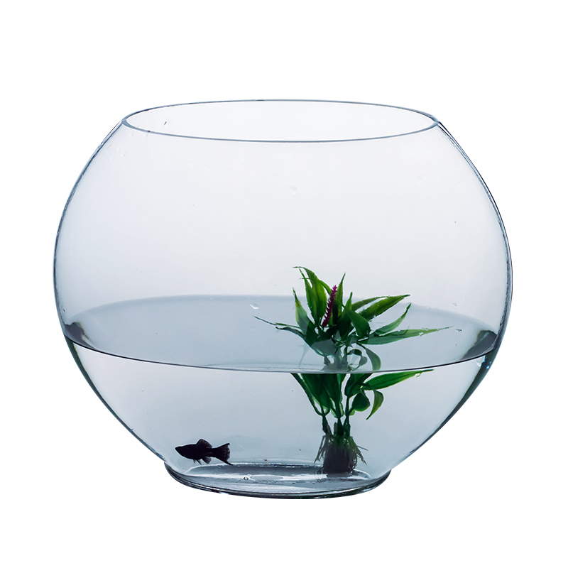 包邮透明玻璃鱼缸 扁鱼缸 透明金鱼缸 简约 圆形水培鱼缸 金鱼缸