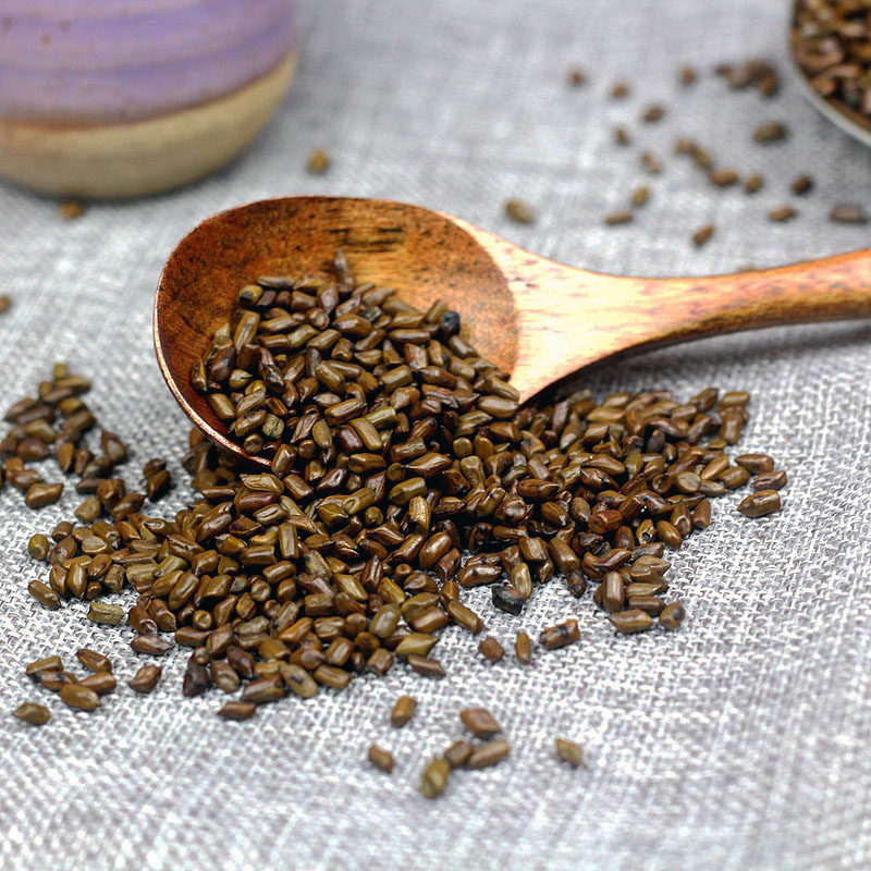 泡茶优质明优制决清炒300gx3明子夏熟宁夏同款决明子