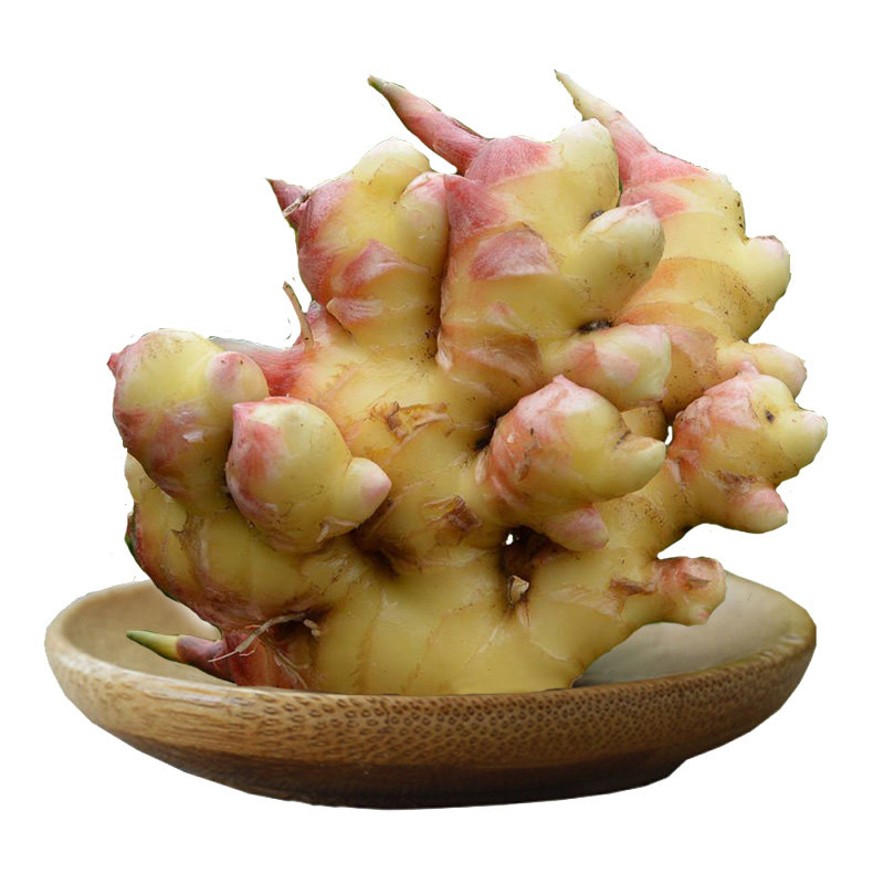 现挖大别山新鲜嫩姜仔姜红芽姜子嫩生姜