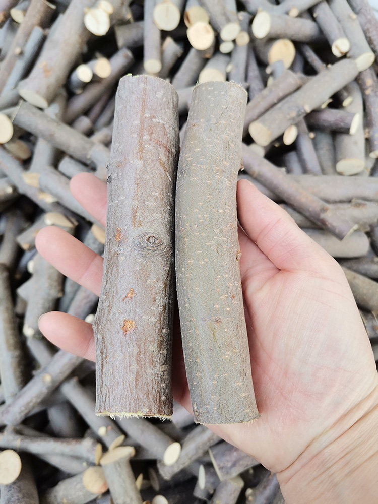 苹果果木树枝仓鼠松鼠龙猫磨牙玩具木棒木头玩具