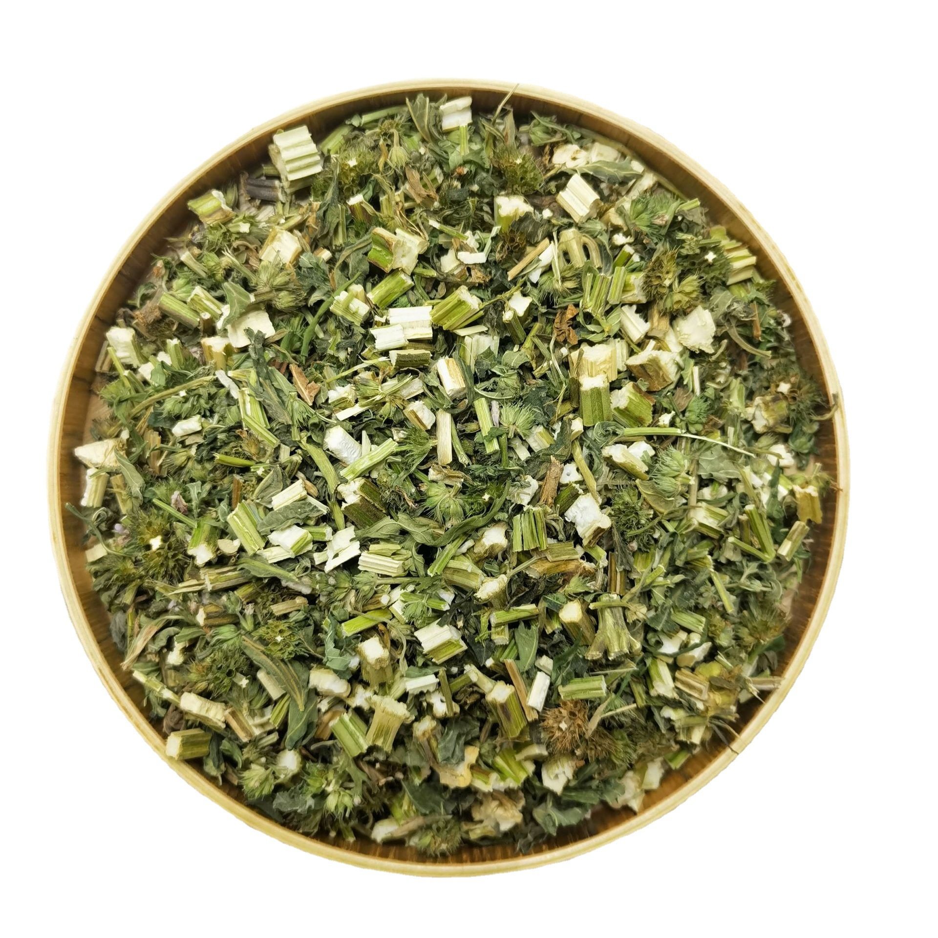 益母草中药材5棵壮苗包活益草苗四季种植包邮新鲜益母草