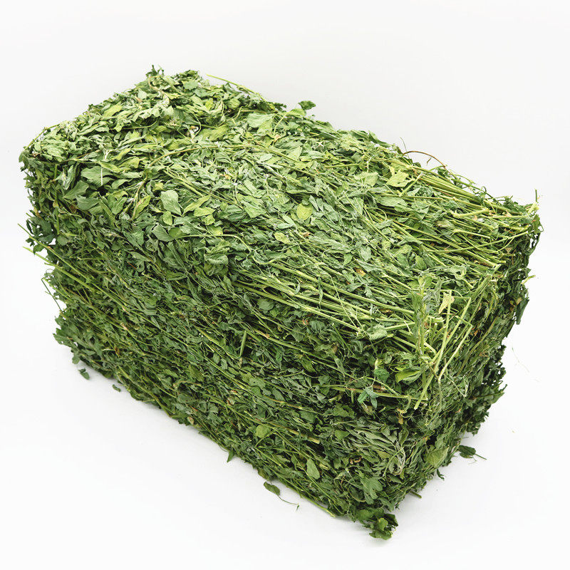 苜蓿草今年兔粮毛重干草整箱饲料龙猫牧草新烘干兔兔干草