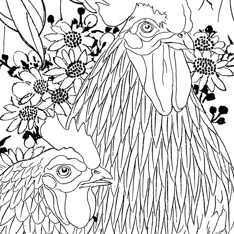 底稿陈军工笔画公鸡白描4幅国画花鸟临摹线稿国画