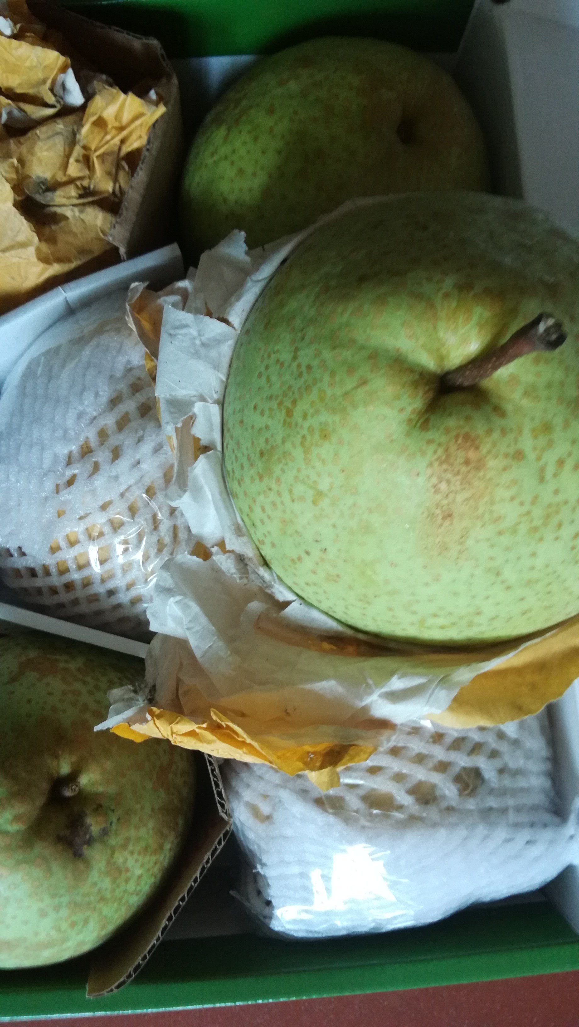 高山农家特产云和雪梨现摘现发脆甜可口10斤梨