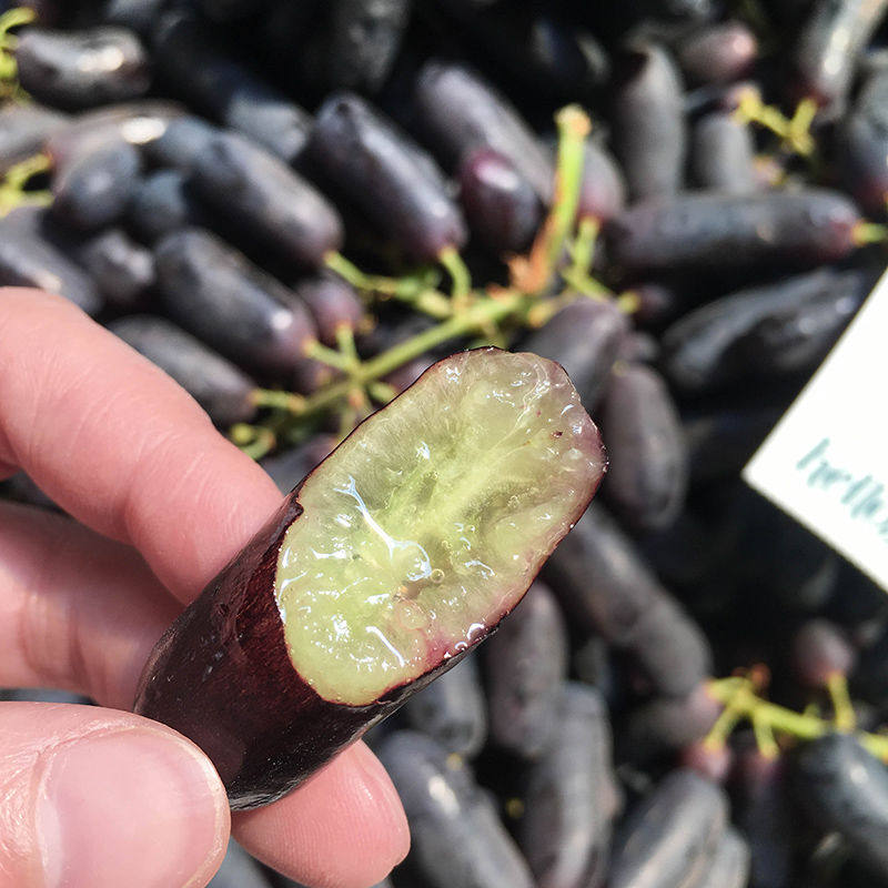 现货金手指无籽提子葡萄长型美人当季新鲜水果葡萄