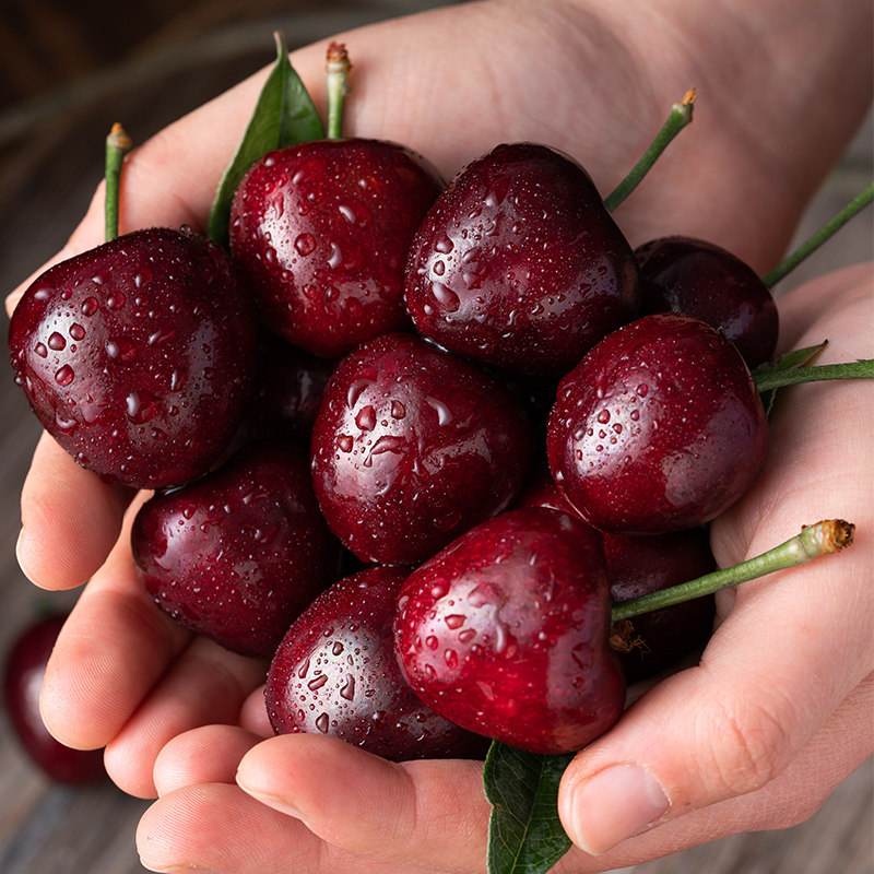 烟台顺丰盒装礼盒整箱水果新鲜2斤台美车厘子车厘子