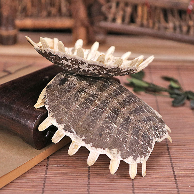 鳖甲中药材店铺鳖甲粉甲鱼壳鳖壳鳖盖子老鳖盖甲鱼壳粉500g包邮