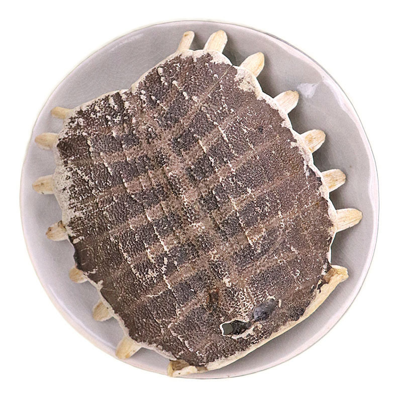 鳖甲中药材店铺鳖甲粉甲鱼壳鳖壳鳖盖子老鳖盖甲鱼壳粉500g包邮