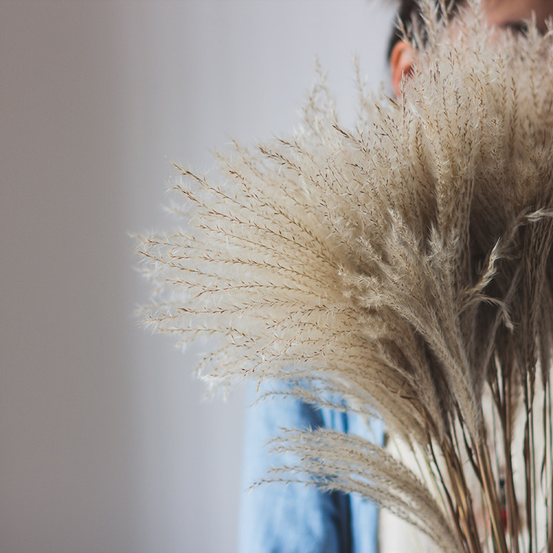 野生芦苇干花家居民装饰摆设橱窗婚庆舞台场景干花