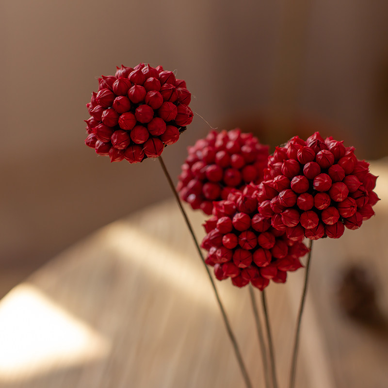 干花植物果实红豆复古家居软装摆设插花搭配干花