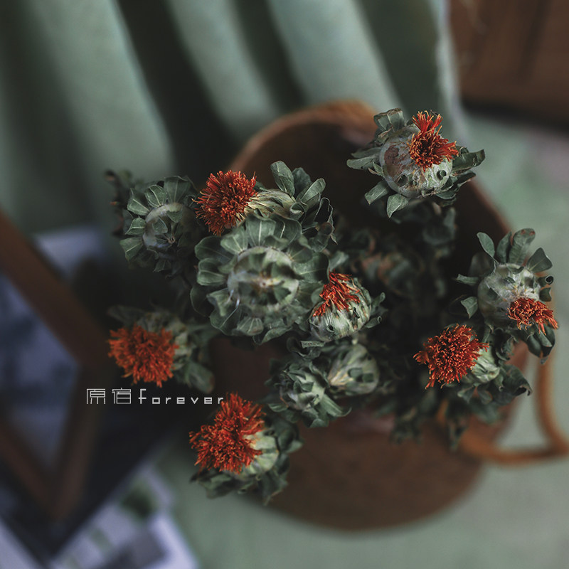 天然植物真花菠萝干花花束搭配干草复古民宿干花