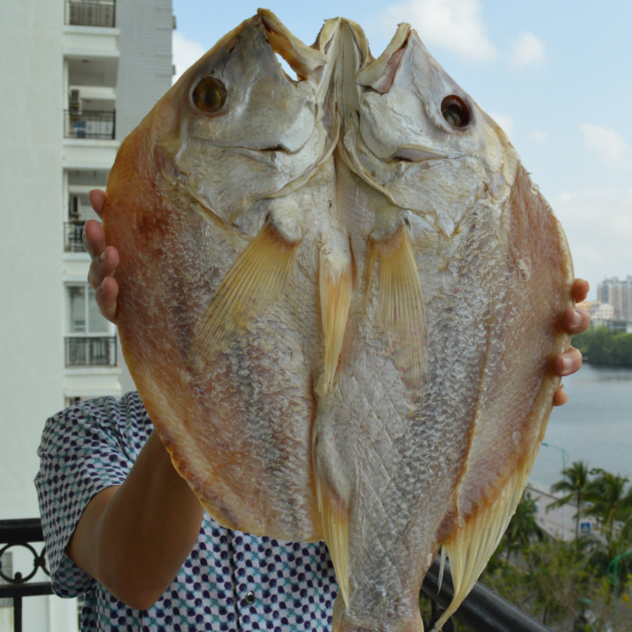 海南野生大红红鱼三亚咸鱼本地海鲜渔民自晒鱼干