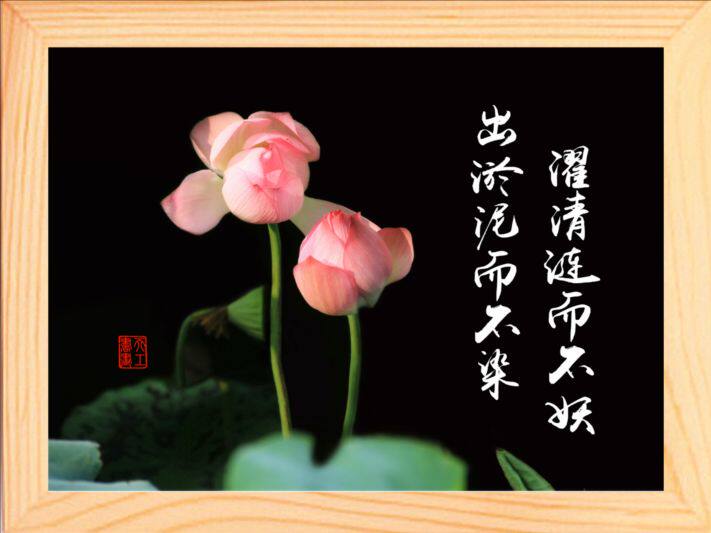 营养书画进口实木框画摆件出淤泥而不染濯清不妖5款现代装饰画