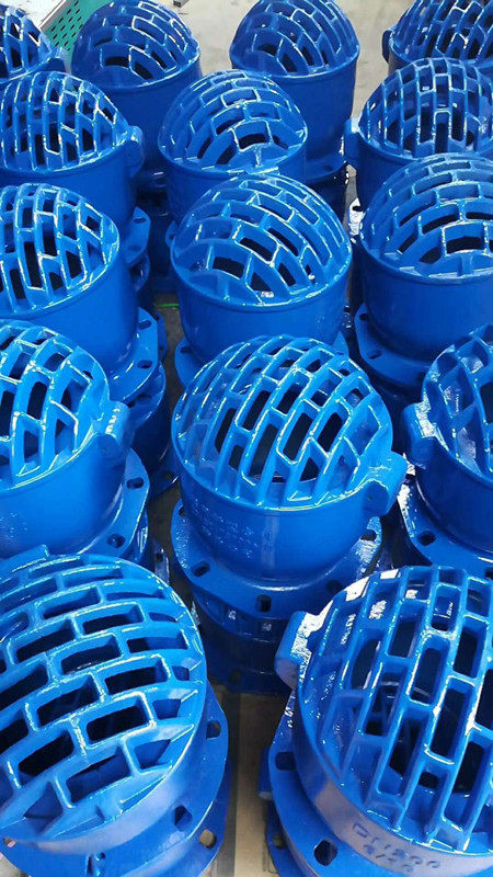 新型莲蓬升降吸水水泵法兰抽水止回阀井底dn80底阀