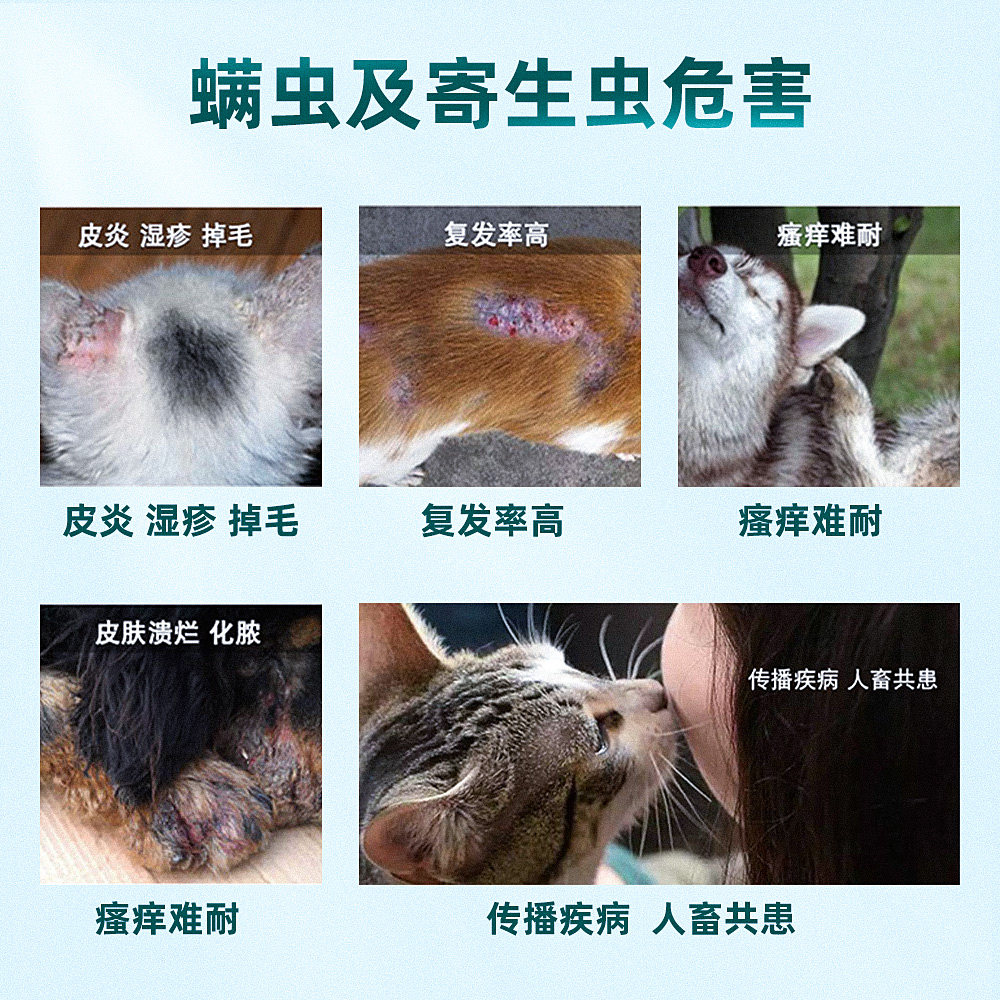 金盾阿维菌素驱虫喷剂跳蚤虱子螨虫猫咪杀虫猫驱虫药