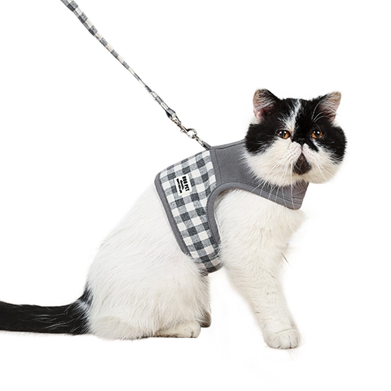 猫牵引绳背心式防挣脱牵猫绳牵引胸背带遛猫绳溜猫绳子 猫咪专用