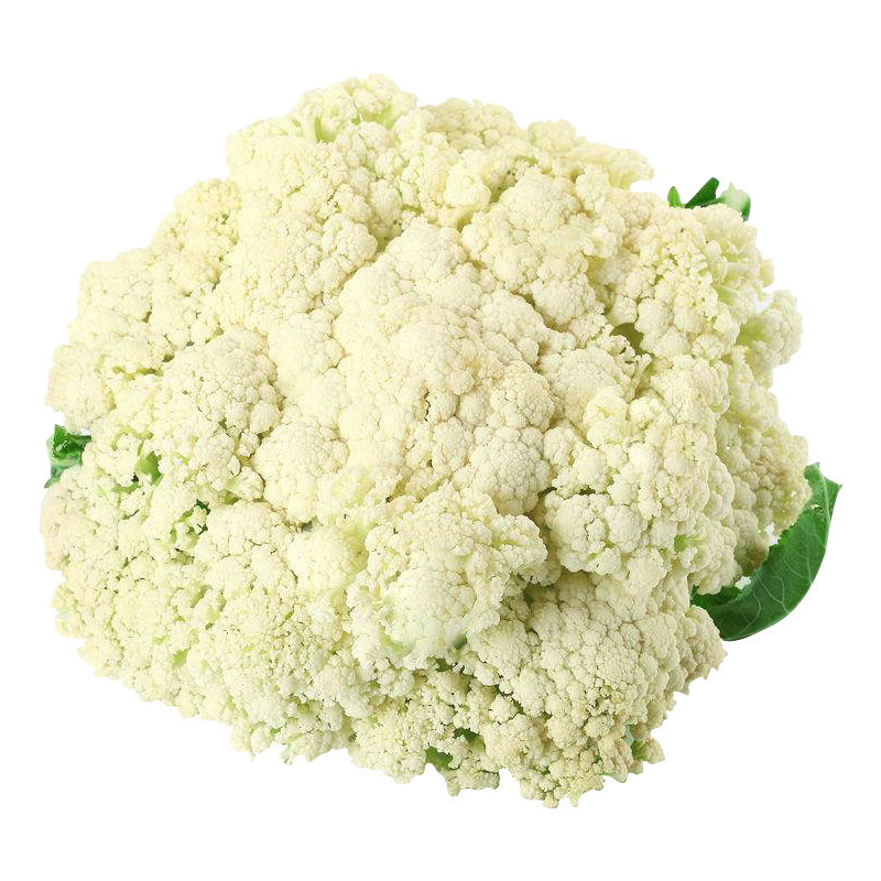 松花有机菜种蔬菜大田秋季春秋菜花花椰菜花菜家庭园艺种子