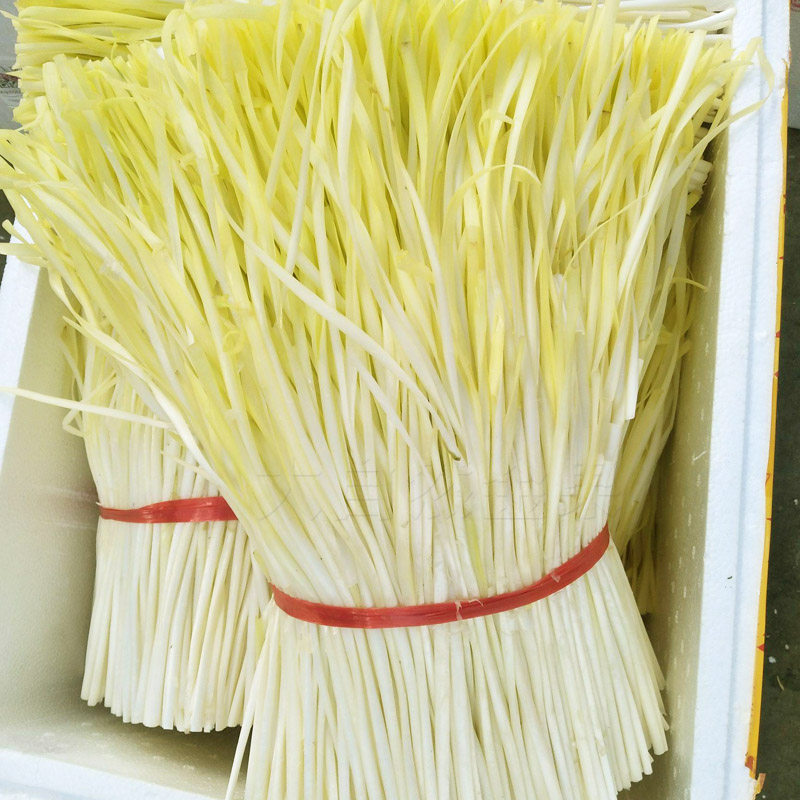 韭黄菜籽种子黄韭春秋秋冬季金杆黄种籽蔬菜菜种家庭园艺种子