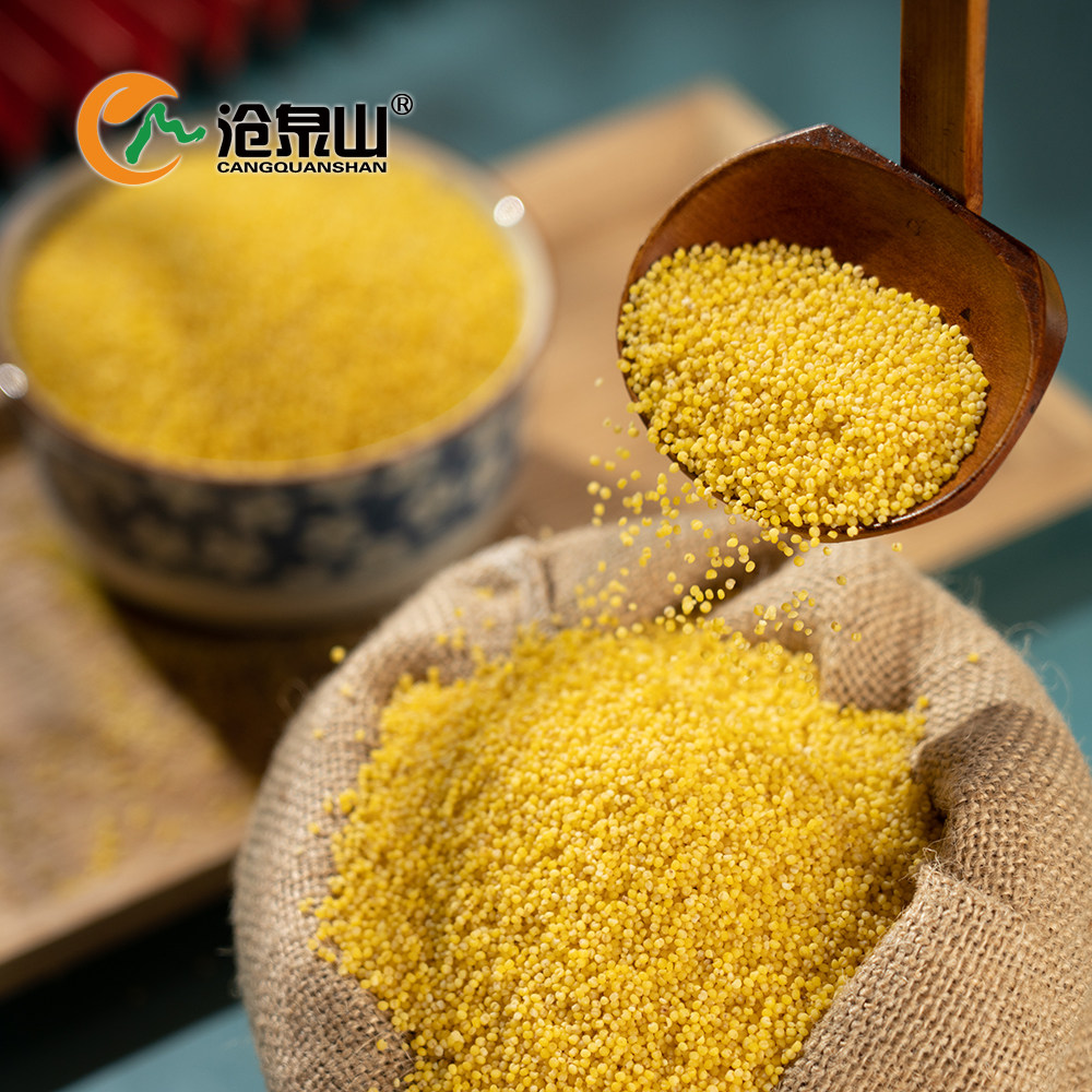 农家新黄米沧泉山地粮食特级月子宝米小米米粥小米
