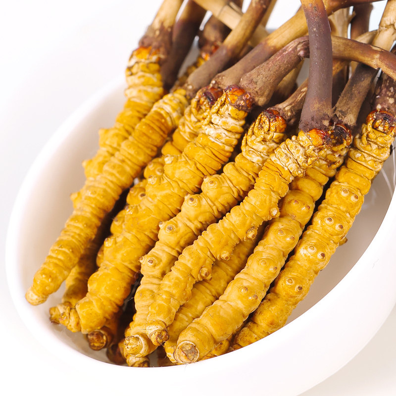 阿依5101西藏那曲冬虫夏草正品虫草10克50根5根冬虫夏草