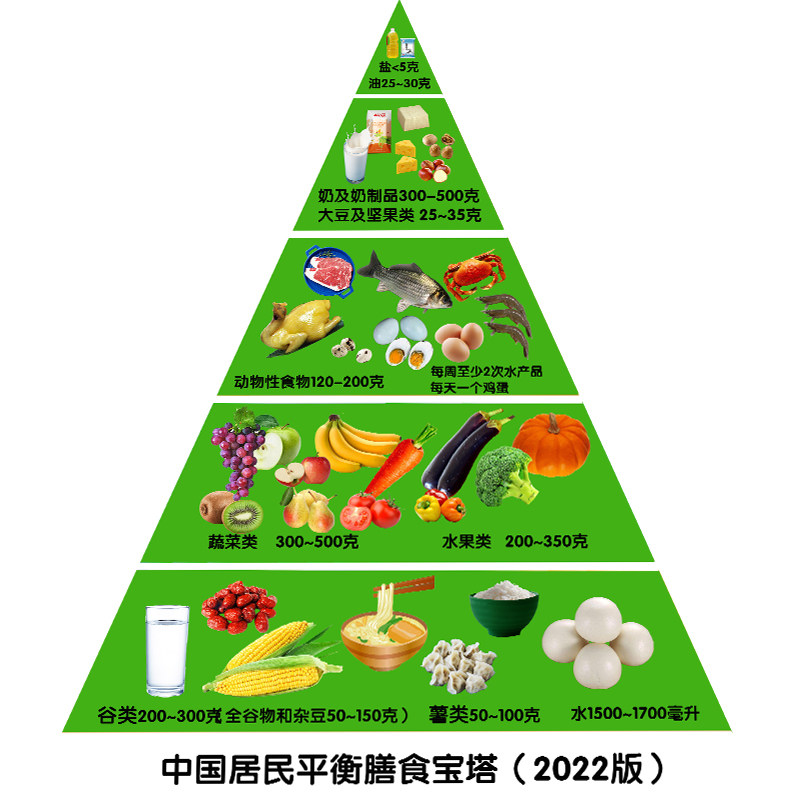 2022新版中国居民膳食宝塔模型仿真食物平衡仿真水果
