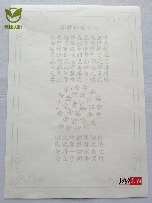 南无月光如来咒轮尊胜佛母心咒准提虚空描写练字帖