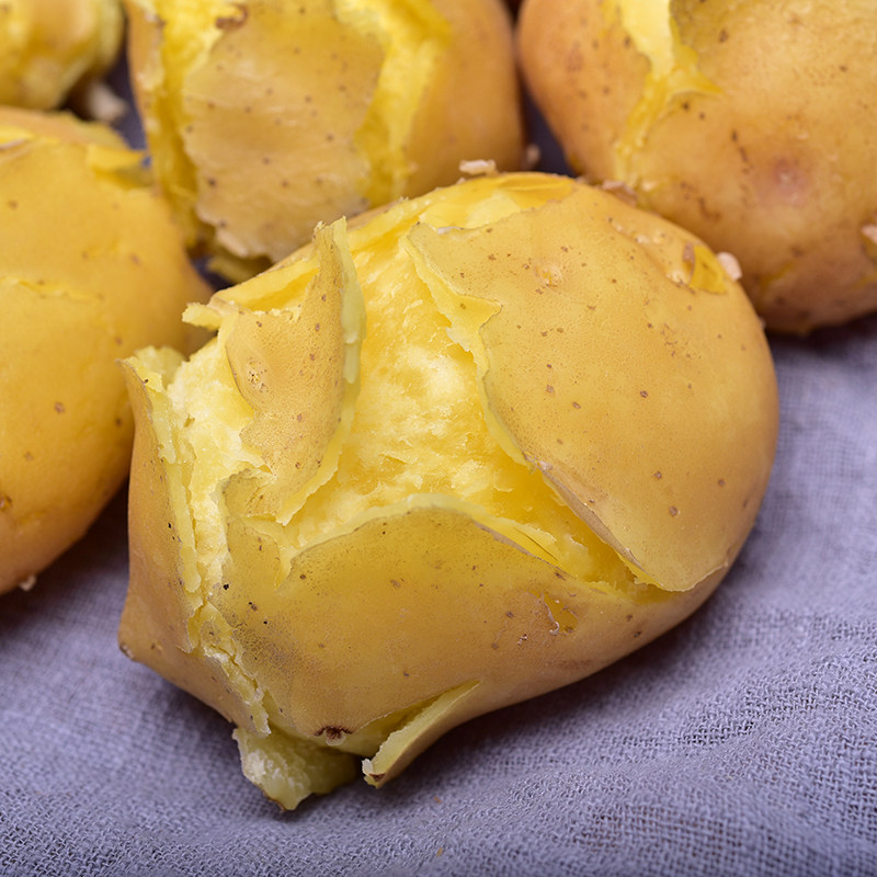 甘肃面鲜海拔高海拔农家洋芋马铃薯10斤包邮沙定西土豆