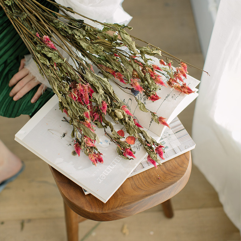 ins天然浪漫粉色多头凤尾尾花干花花束真花干花