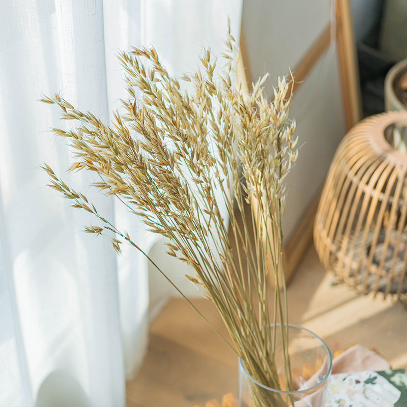 燕麦北欧日式天然干花真花麦穗家居插花花艺干花