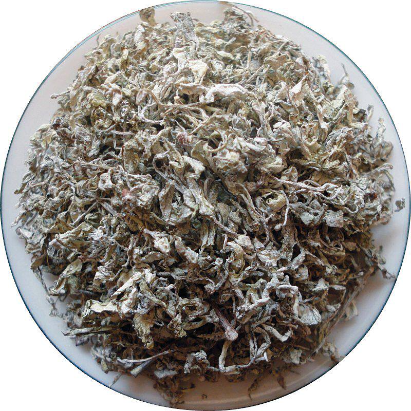 雪山雪茶丽江江雪山古苍山马帮白露野生藤茶养生茶