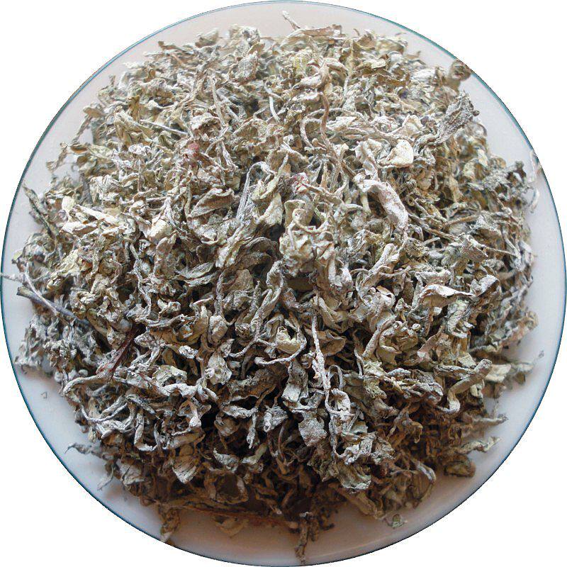 雪山雪茶丽江江雪山古苍山马帮白露野生藤茶养生茶