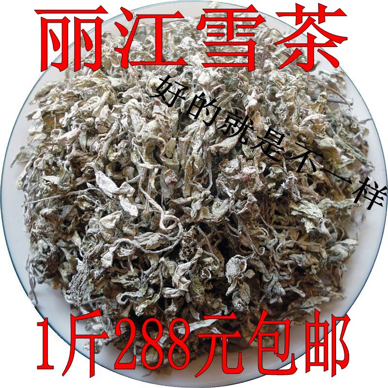 雪山雪茶丽江江雪山古苍山马帮白露野生藤茶养生茶