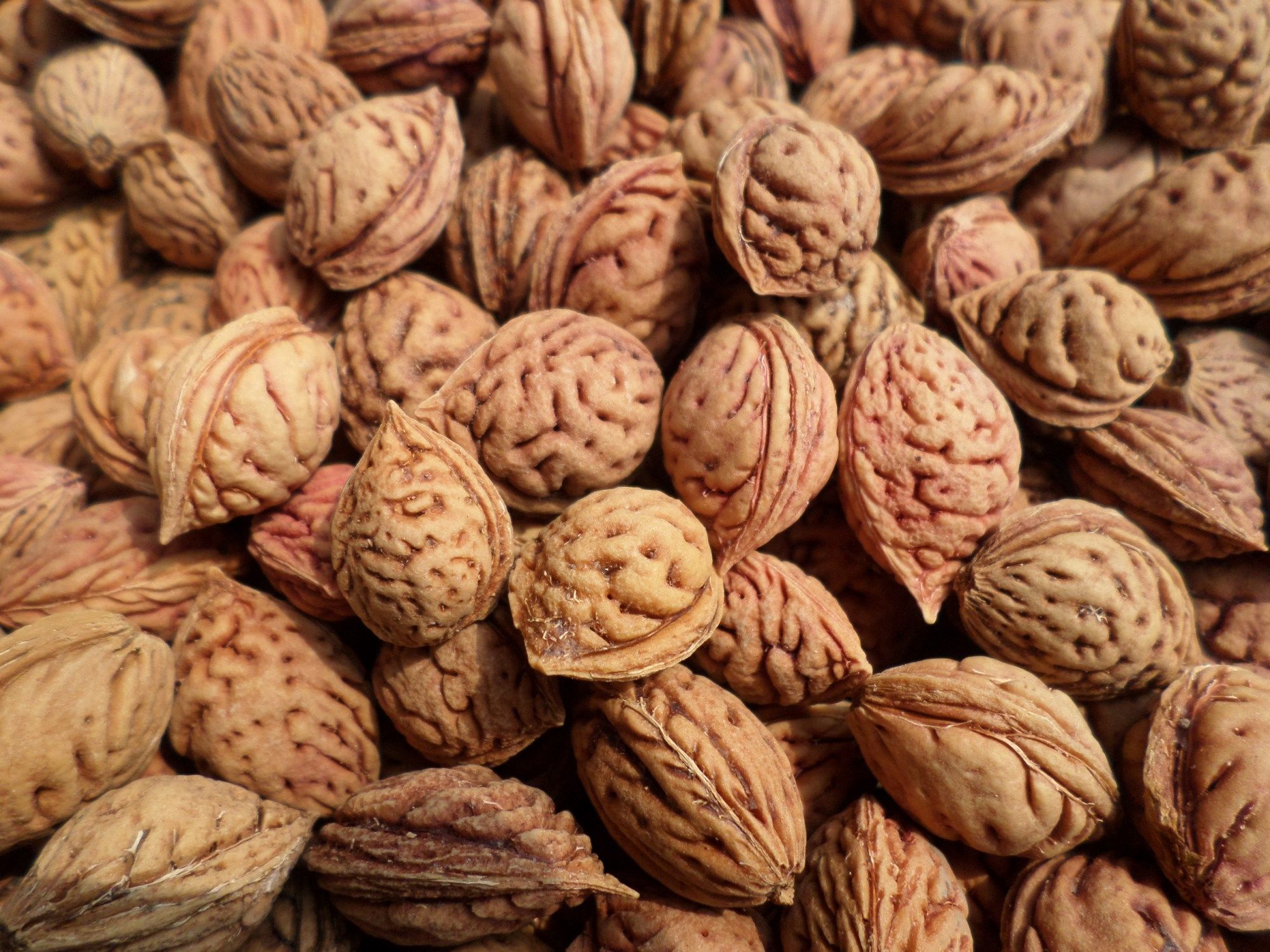 野生生毛桃核1529mm念珠手持项链挂手串工艺品雕刻佛珠