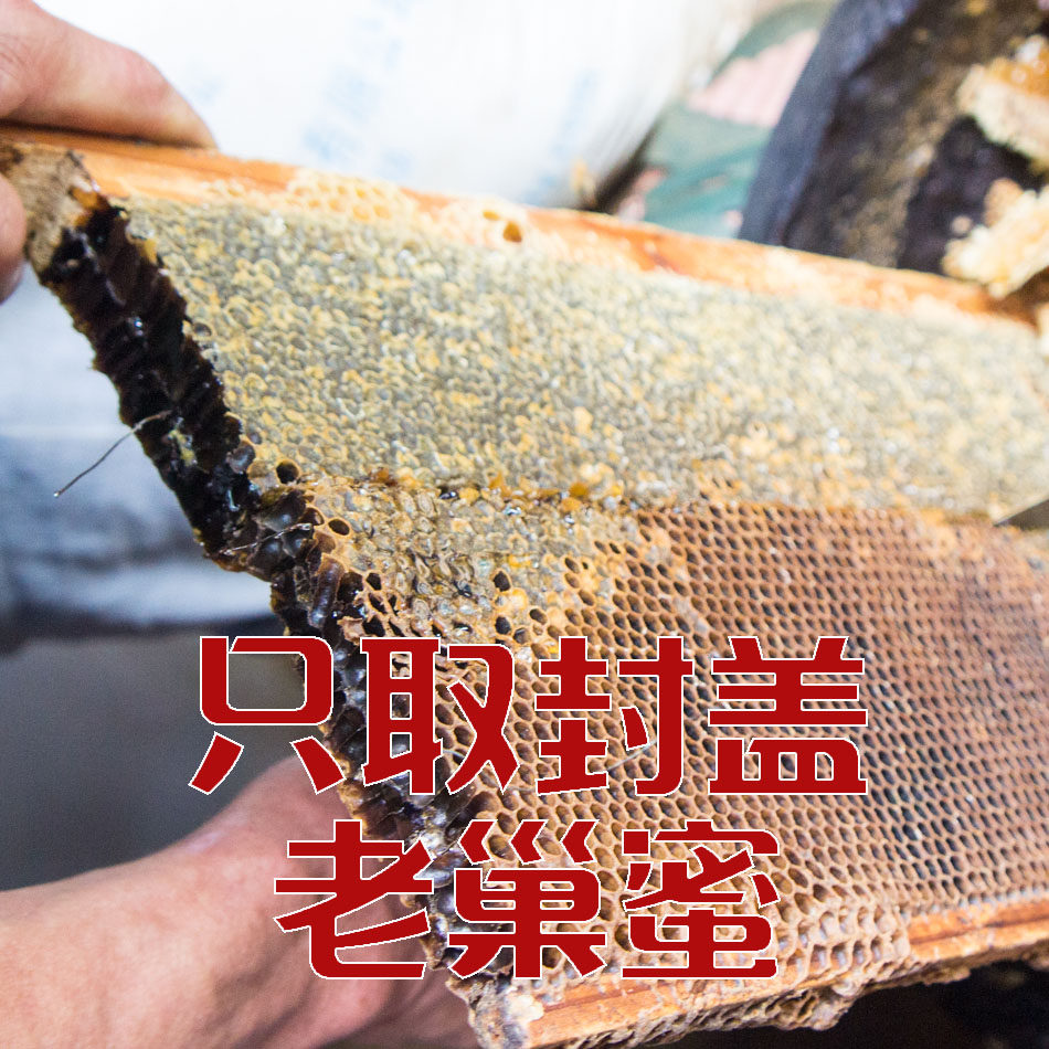 云南封盖巢蜜老巢蜜蜂巢蜜野生纯天然成熟农家自产巢素嚼着吃炎
