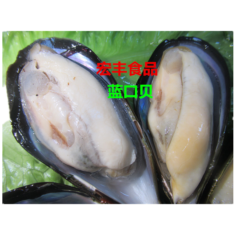 海虹淡菜深海野生新鲜大贻蓝口水产冷冻半壳蓝口贝