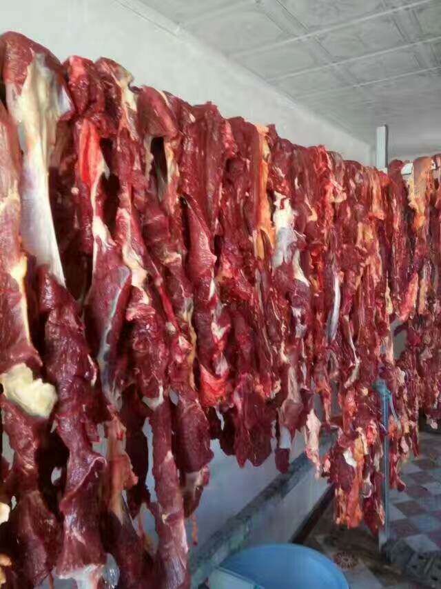 风干新疆伊犁塔城干肉特产产生牛肉干真空真空包生牛肉