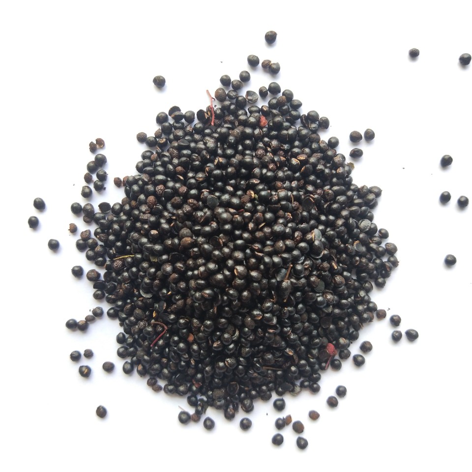 鸽子花椒籽鸽新货用粮食用饲料保健砂幼鸽粮鸟食