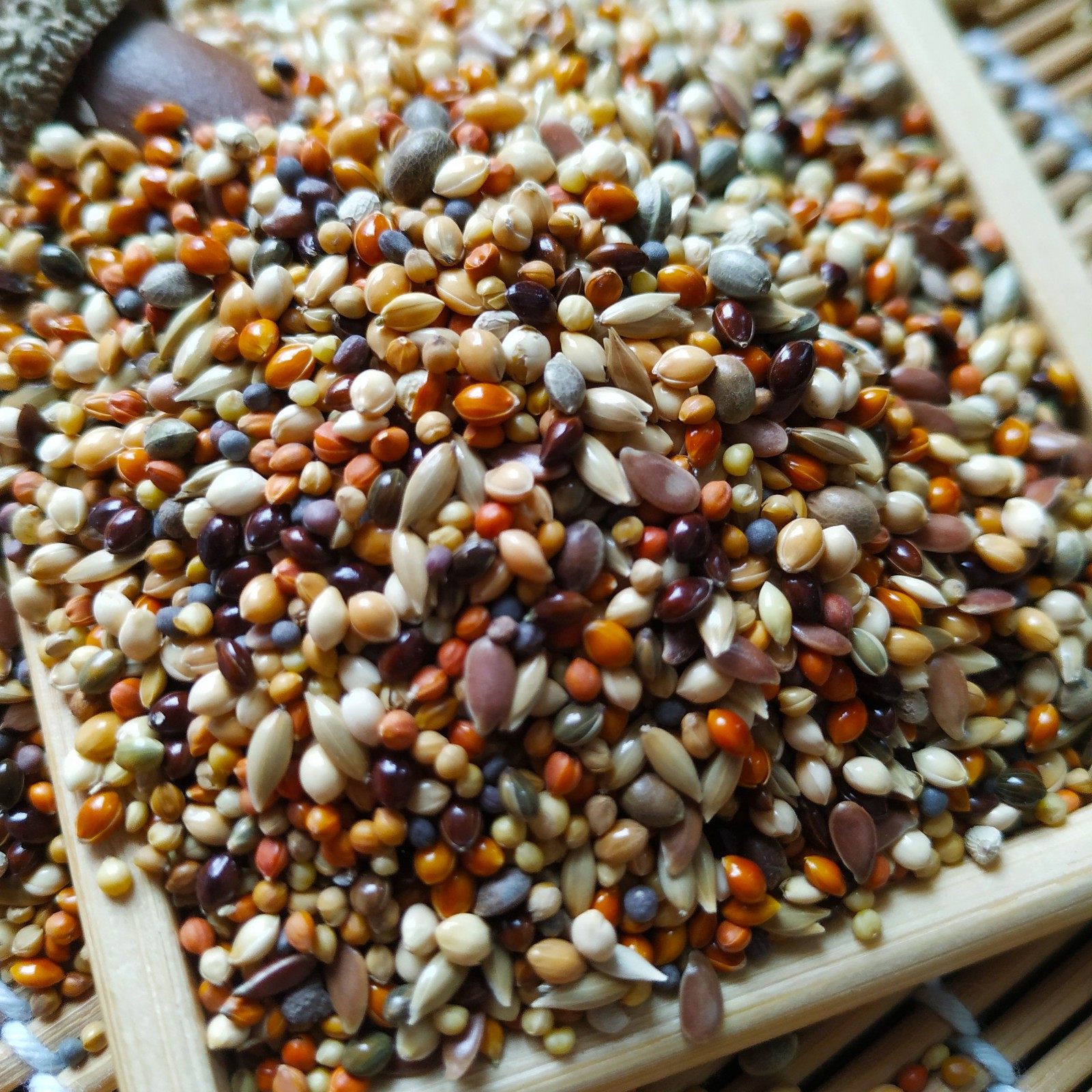 鸟食玉鸟饲料鸟粮雪鸽粮文珍珠鸟金丝雀姐妹金青鸟食