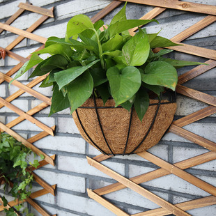 新品阳台花盆悬挂式花盆铁艺椰棕吊盆吊兰盆椰棕吊篮垂吊盆-领券联盟