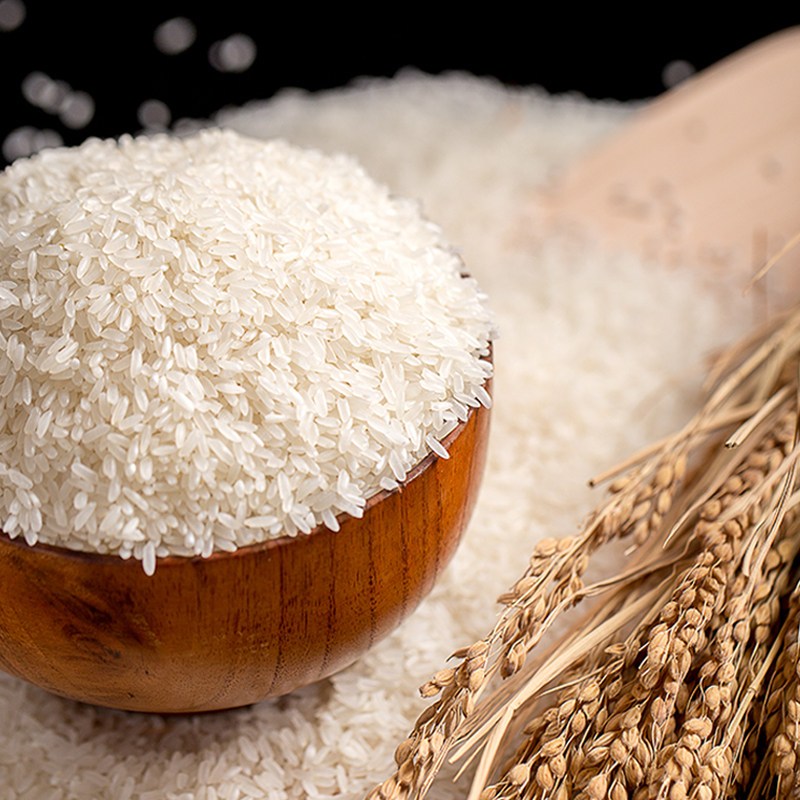 新疆米泉大米香米5kg 10斤真空装粳米手抓饭米2019年包邮新米