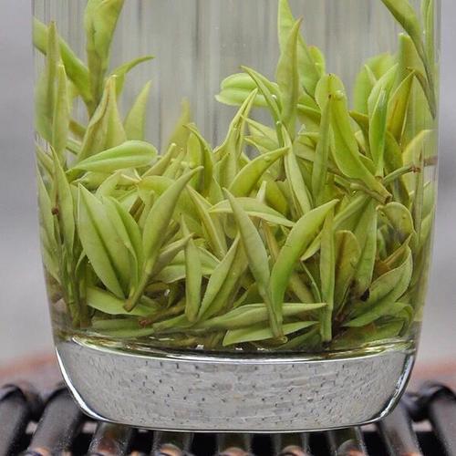 正宗安吉珍稀白茶2022新茶明前特级高山茶叶安吉白茶