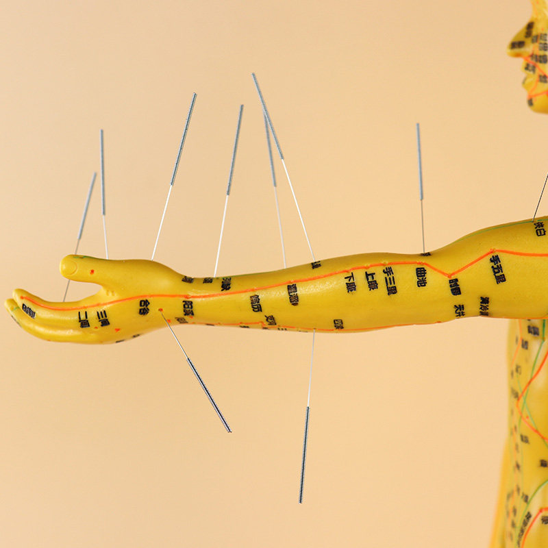 高清人体针灸经络穴位模型软料可扎针练习针灸按摩教学50cm男性