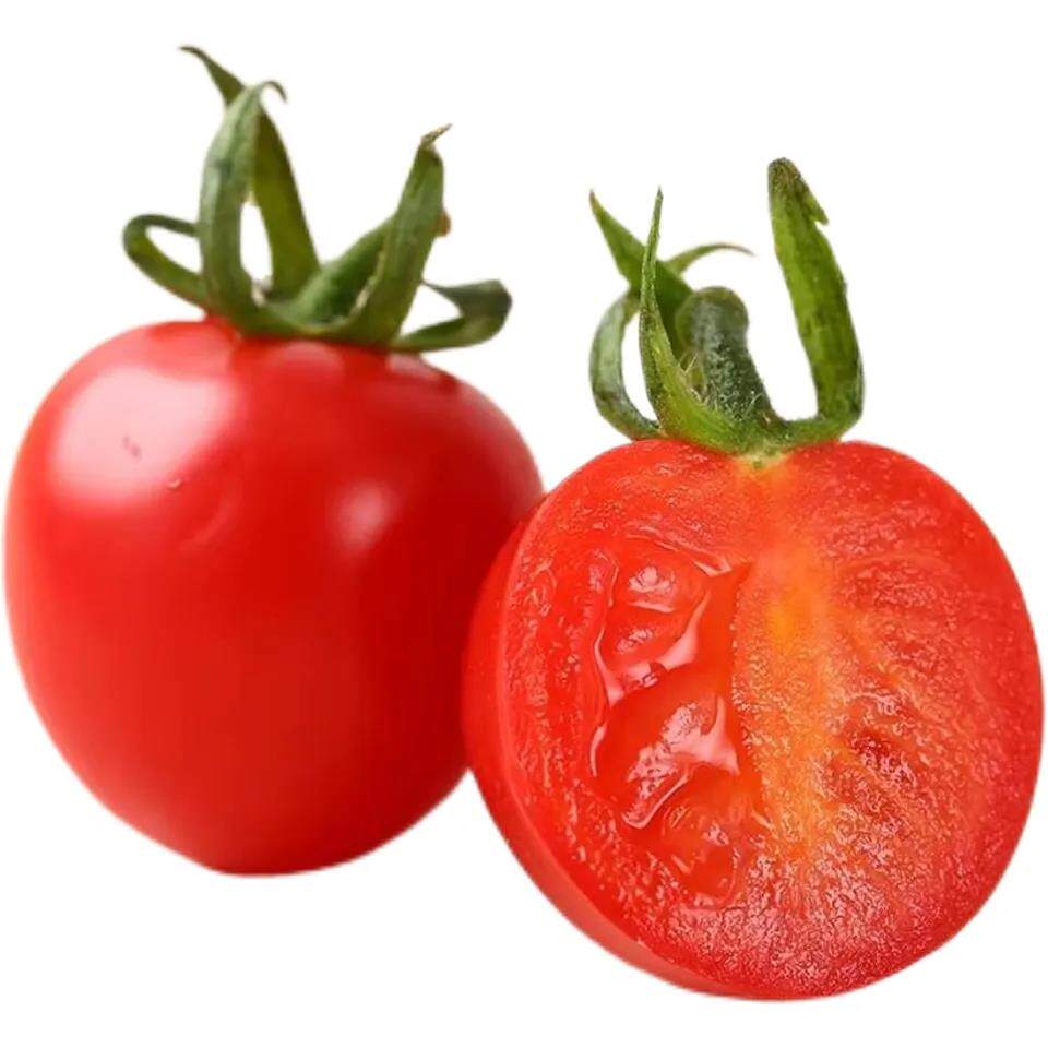 顺丰釜山玲珑圣女果新鲜现摘超甜5斤小番茄小西红柿番茄