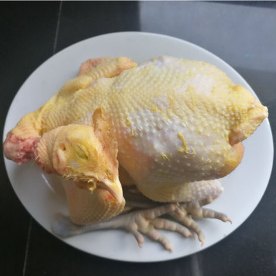 苏北二年土鸡老母鸡农家散养500天村走地整只肉草笨柴黄油青小脚