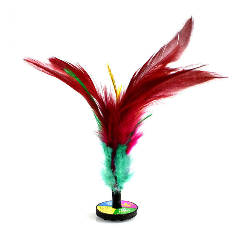 毽子鸡毛花毽比赛专用儿童健身耐踢一年级小学生毽子