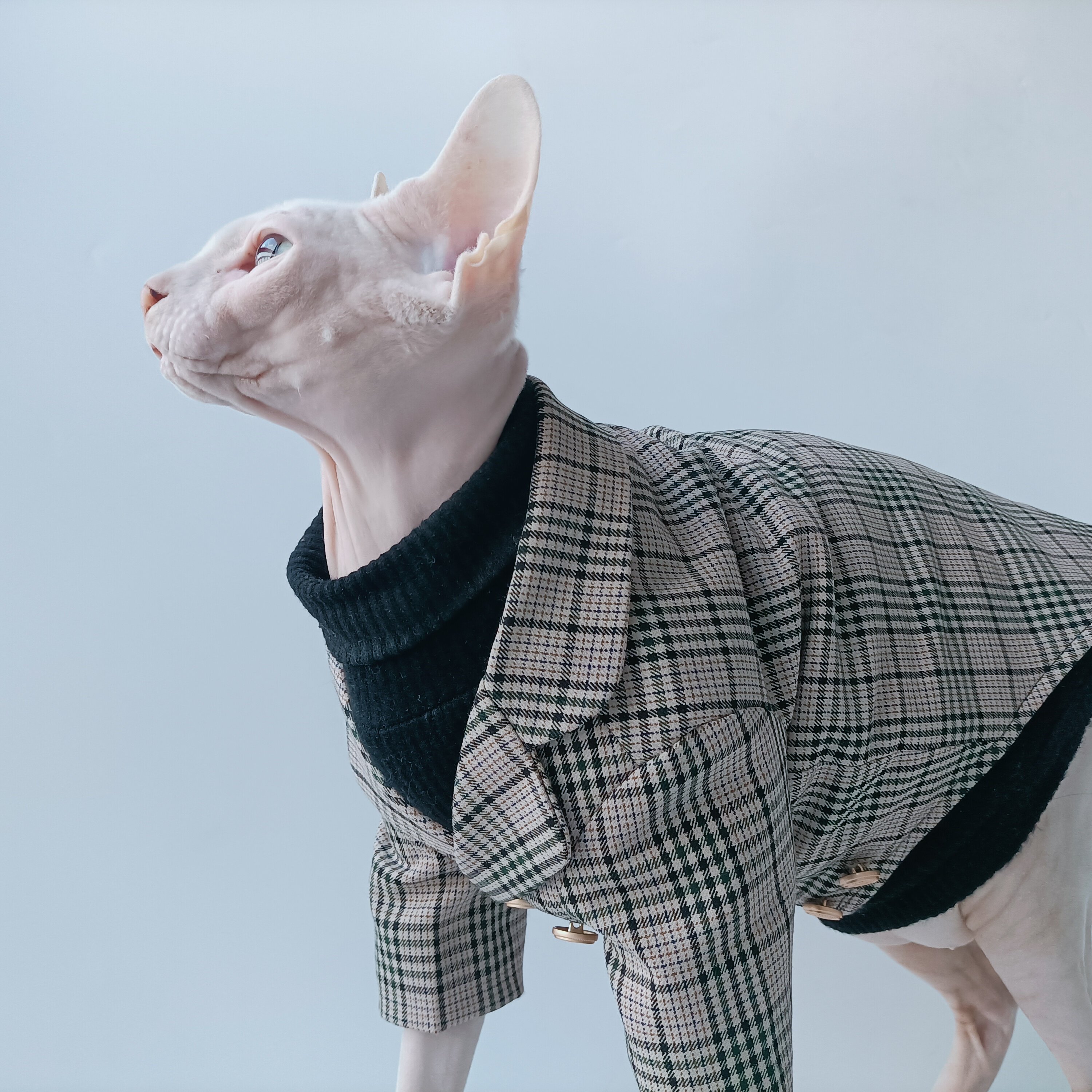 宠物西装纸样猫咪外套绅士衣服图纸西服结婚宠物服装