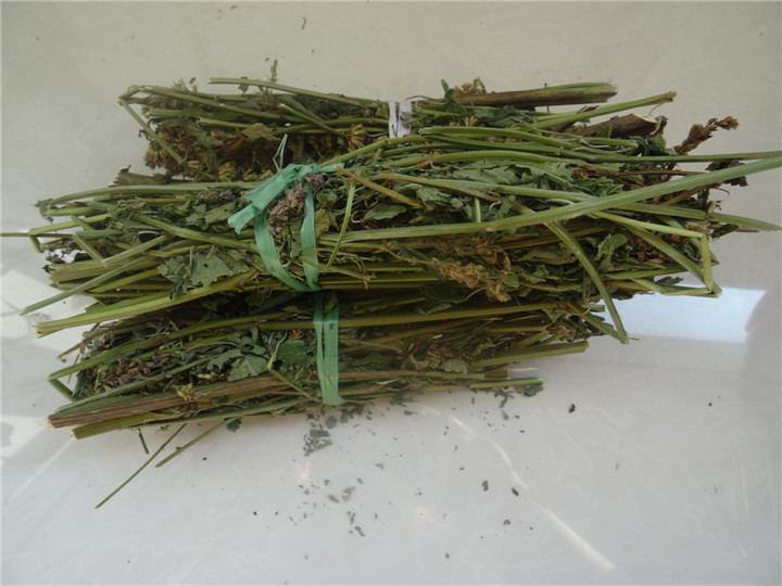 野生猫把蒿干芭蒿藿香排香草东北铁锅炖鱼料庆岭鱼汤料包邮
