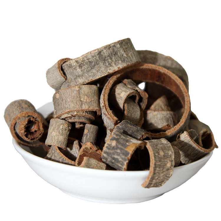 谯烁天然 深山精选四川新货 厚朴 川厚朴 厚皮 重皮 赤朴 500克