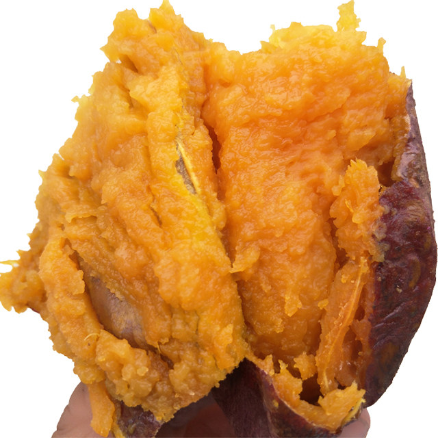 10株水果红薯地瓜红心番薯山芋种子苏八小花番薯