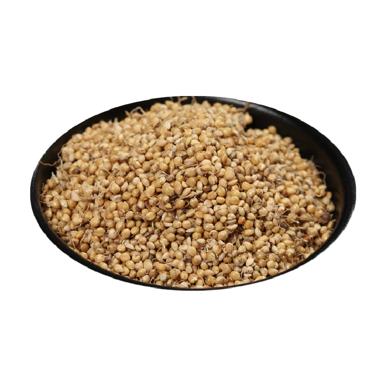 中药材谷芽500克 小米芽 /店内另有生麦芽炒稻芽炒谷芽